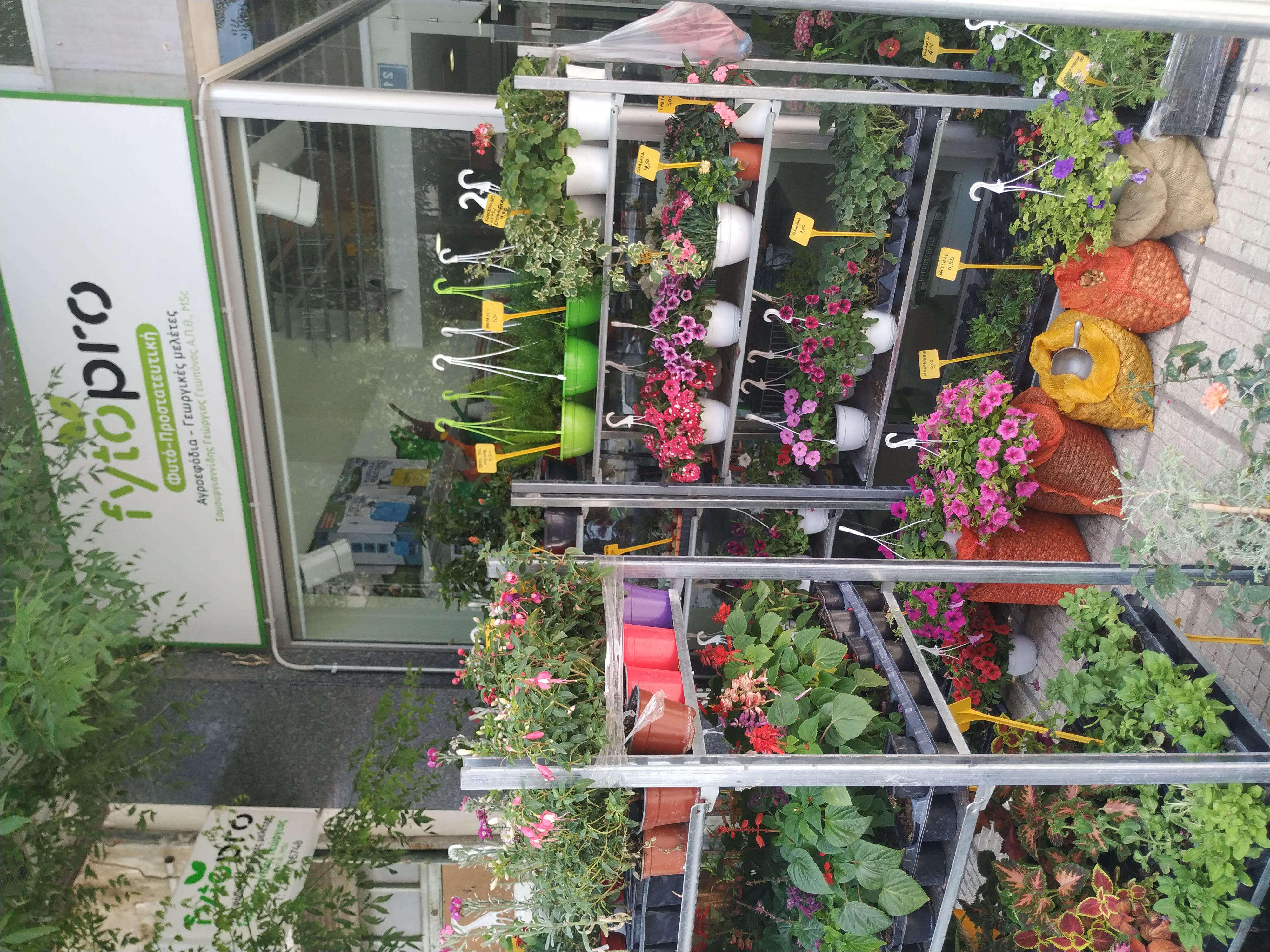 image3